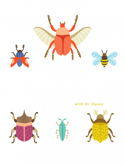 Insect Interviews: Merging humor, science and, technology to teach ...