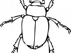 Insect Clipart - Free Clipart on Dumielauxepices.net