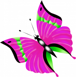 0_10c8e6_88c96fd2_orig (1190×1200) | butterflies | Pinterest | Butterfly