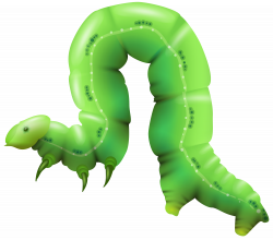Caterpillar PNG Clip Art - Best WEB Clipart
