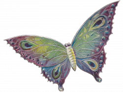 Free: Butterfly | Pictures I Like | Pinterest | Butterfly and Craft