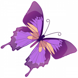 Transparent Purple Butterfly PNG Picture | BUGS AND BUTTERFIES CLIP ...