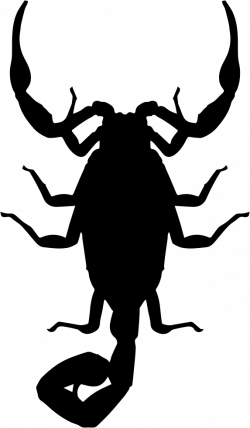 Scorpion Insect Shape Svg Png Icon Free Download (#73775 ...