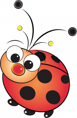 02.png | Ladybug, Scale and Lady bugs