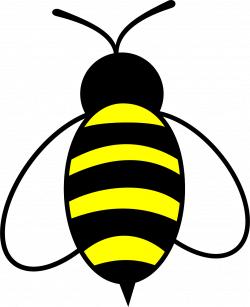 Honey Bee Bug Insect Buzz - Picpng