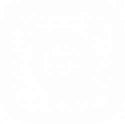 Instagram (White) - Hammond Art Consulting Services