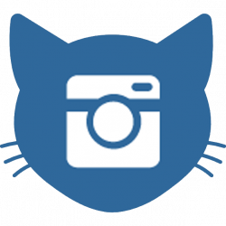 instagram – Staging Happy Cats Haven