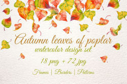 Autumn leaves of poplar PNG watercolor set
