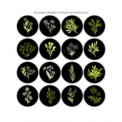 Instagram Story Highlight Icons vintage black green Hand Drawn sketch  botanical flower Instagram highlight Covers social media icons clipart