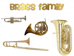 Brass Instruments clipart - Family, Trumpet, Violin ...
