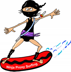 Ninja surfing hide ip v.1.3