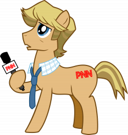PNN Reporter | My Little Pony: Friendship is Magic | Know Your Meme