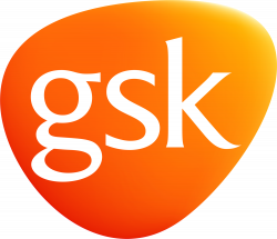 GSK Application Process And Interview Questions | WikiJob