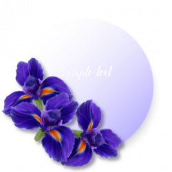 Iris Flower Png, Vectors, PSD, and Clipart for Free Download | Pngtree