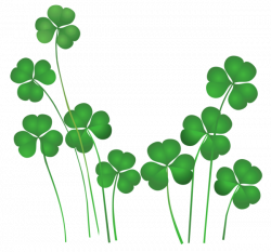 28+ Collection of Irish Clover Clipart | High quality, free cliparts ...
