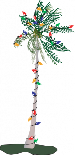 28+ Collection of Palm Tree With Christmas Lights Clipart | High ...