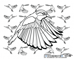 Bananaquit - Bird Coloring Page by Cricky. Celebrating Sunny Days in ...