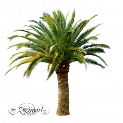 palm_tree_png_by_zozziegirl-d5z2j2n.png (894×894) | Island oasis ...