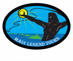 Road to Hana Tour Reviews by Maui Legend Participants