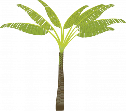 Island, Palm Tree Palm Leaves Plant Tree Jungle Pa #island, #palm ...