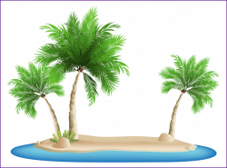 Shocking Palm Island Png Clipart Image Gallery Yopriceville High ...