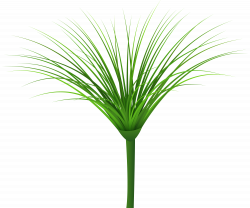 Tropical Green Leaf PNG Clip Art Image | Gallery Yopriceville ...