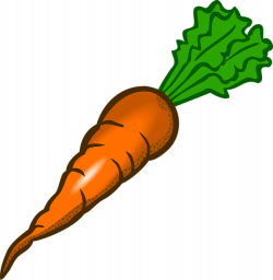 473RA - Carrot | Carrots, Multiple images and Clipart images