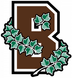 Brown Bears - Wikipedia