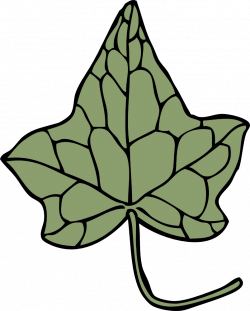 OnlineLabels Clip Art - Ivy Leaf 5