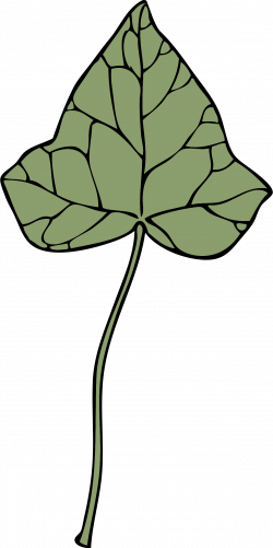 Clipart - ivy leaf 7