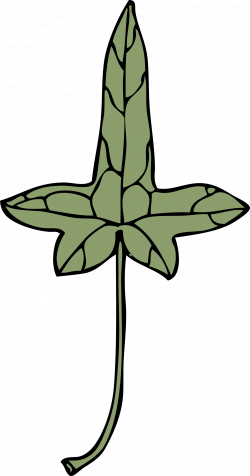 Clipart - ivy leaf 9