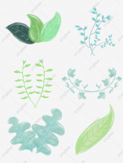Plant Ivy Vines, Plant Clipart, Creeper, Plant PNG ...