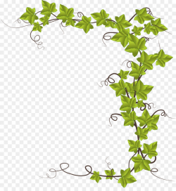 Flower Border Background clipart - Vine, Plants, Leaf ...