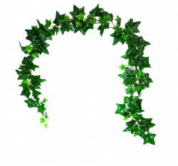Ivy - Greenery | Silk Wedding Bouquets Artificial Flowers ...