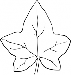 Ivy Leaf clip art Free vector in Open office drawing svg ...
