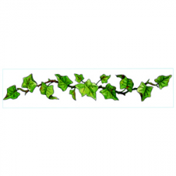 Leaf Vine Clip Art | Free download best Leaf Vine Clip Art ...