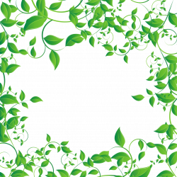 Tea Computer file - Green leaf border vector 1406*1410 transprent ...