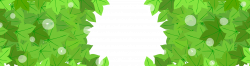 Vector cartoon green leaf banner border 2134*571 transprent Png Free ...