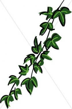 Contemporary Ivy Vine | Nature Clipart