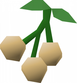 Poison ivy berries | Old School RuneScape Wiki | FANDOM powered by Wikia