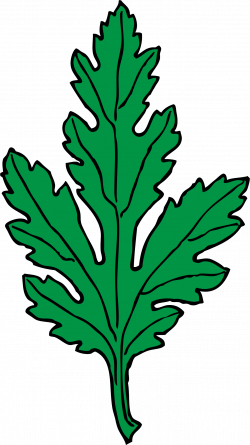 Clipart - chrysanthemum leaf