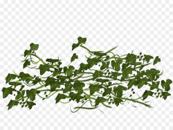 Flower Vine clipart - Vine, Leaf, Flower, transparent clip art