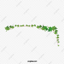 Ivy Vine, Vine Clipart, Branch, Frame PNG Transparent ...