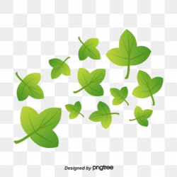 Ivy Leaves Png, Vector, PSD, and Clipart With Transparent ...