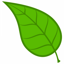 Green leaves clipart - Clipart Collection | Green leaves png image ...