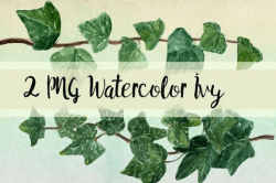 Watercolor Ivy Clip Art - 2 PNG