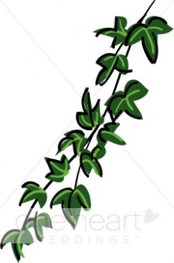 Green Ivy Garland Clipart | Country Wedding Clipart