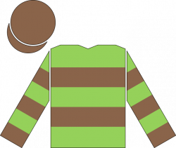 File:Racing silks of Aga Khan (second colours).svg - Wikimedia Commons