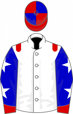 File:Owner Allen E Paulson.svg - Wikipedia