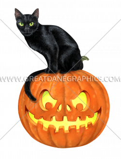 Black Cat On Pumpkin | Production Ready Artwork for T-Shirt Printing